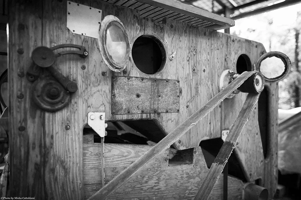 azienda-agricola-assisi-10