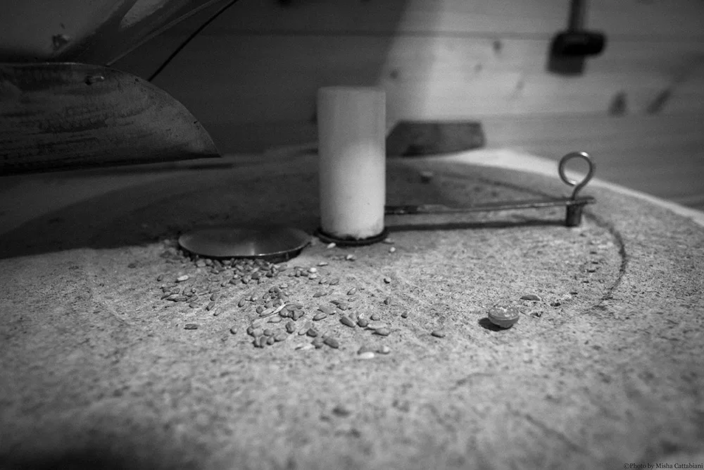 azienda-agricola-assisi-11