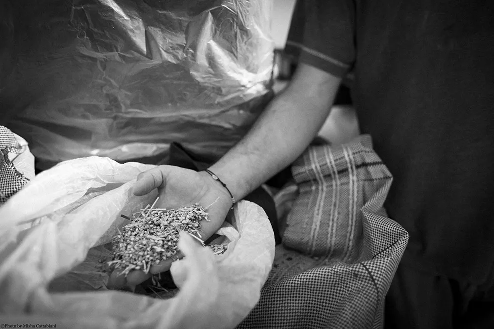 azienda-agricola-assisi-5