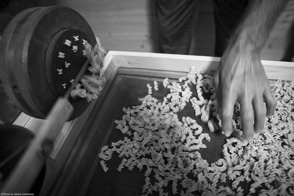 azienda-agricola-assisi-7