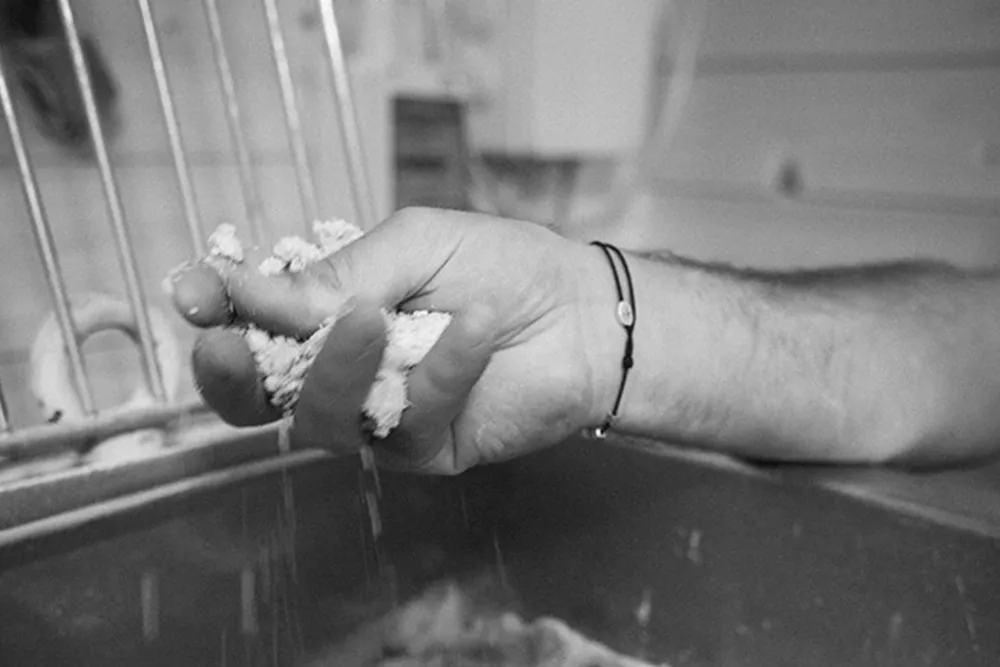 azienda-agricola-biologica assisi-1