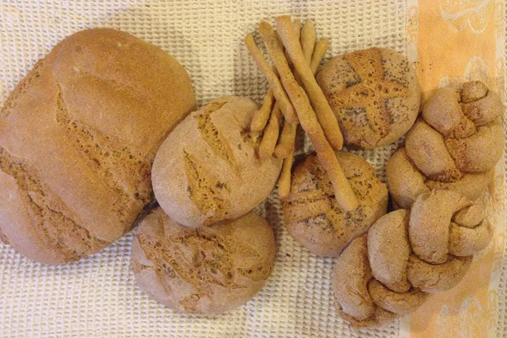 azienda-agricola biologica-assisi-paradiso-41